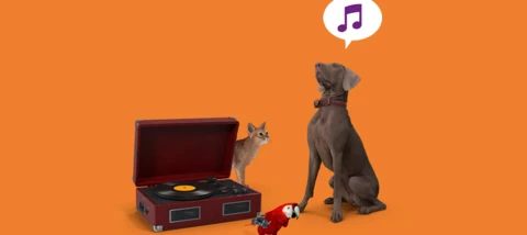 Tele2 Blog: Muziek voor je huisdier