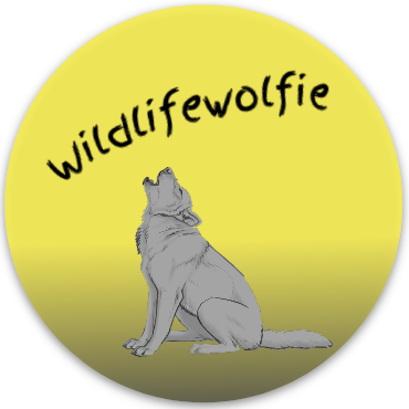 Wildlifewolfie