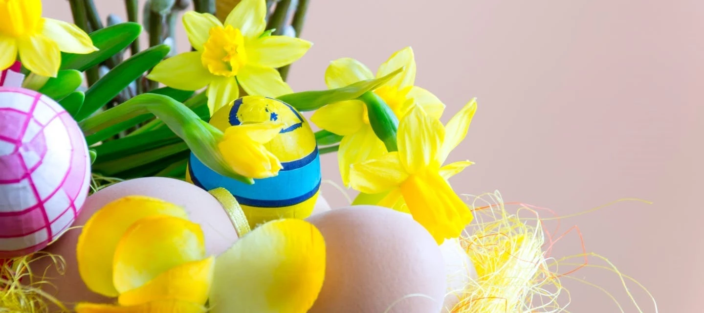 Pääsiäisen leffakori on iloa täynnä - katseluvinkit koko perheelle 🐣