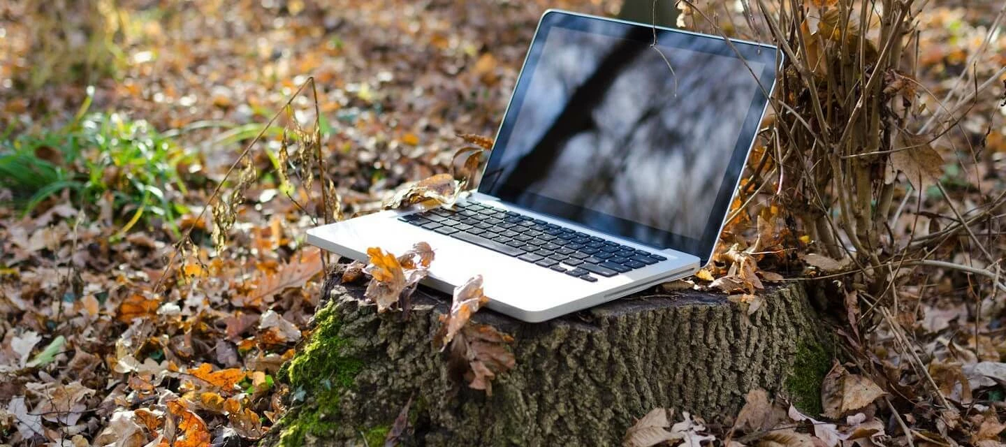 Luonto kutsuu luokseen: etätöissä metsässä