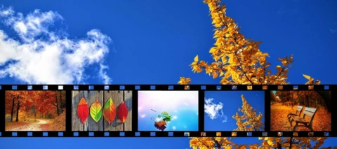 C Moren syyskuun uutuuselokuvat