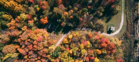 Ota hyödyt irti uusien sukupolvien verkoista - 3G-verkko jää historiaan