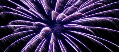 Hyvää uutta vuotta 2024! 💜