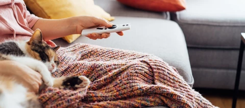 MTV Katsomon joulukuun sarjauutuudet