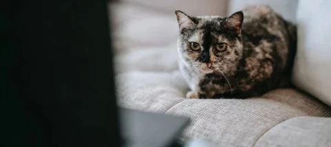 Vuokraamon tammikuun TOP 10 leffat