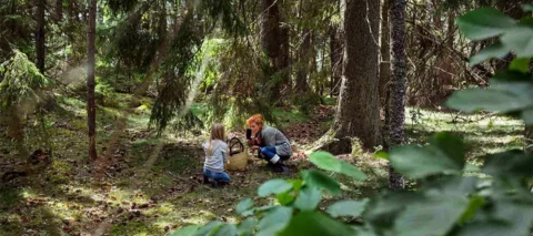 Yhteisön uutiskirje 08/2023