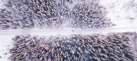 Yhteisön uutiskirje 11/2023