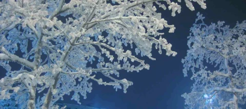 🇫🇮 Hyvää itsenäisyyspäivää 🇫🇮