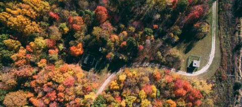 Yhteisön uutiskirje 10/2023