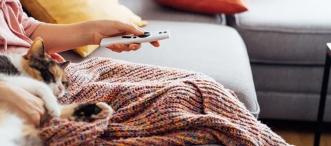 Joulukuun MTV Katsomon uutuuselokuvat