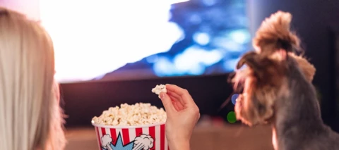 C More toukokuun uutuussarjat