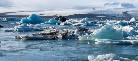 Telia Play Vuokraamo: dokumentit