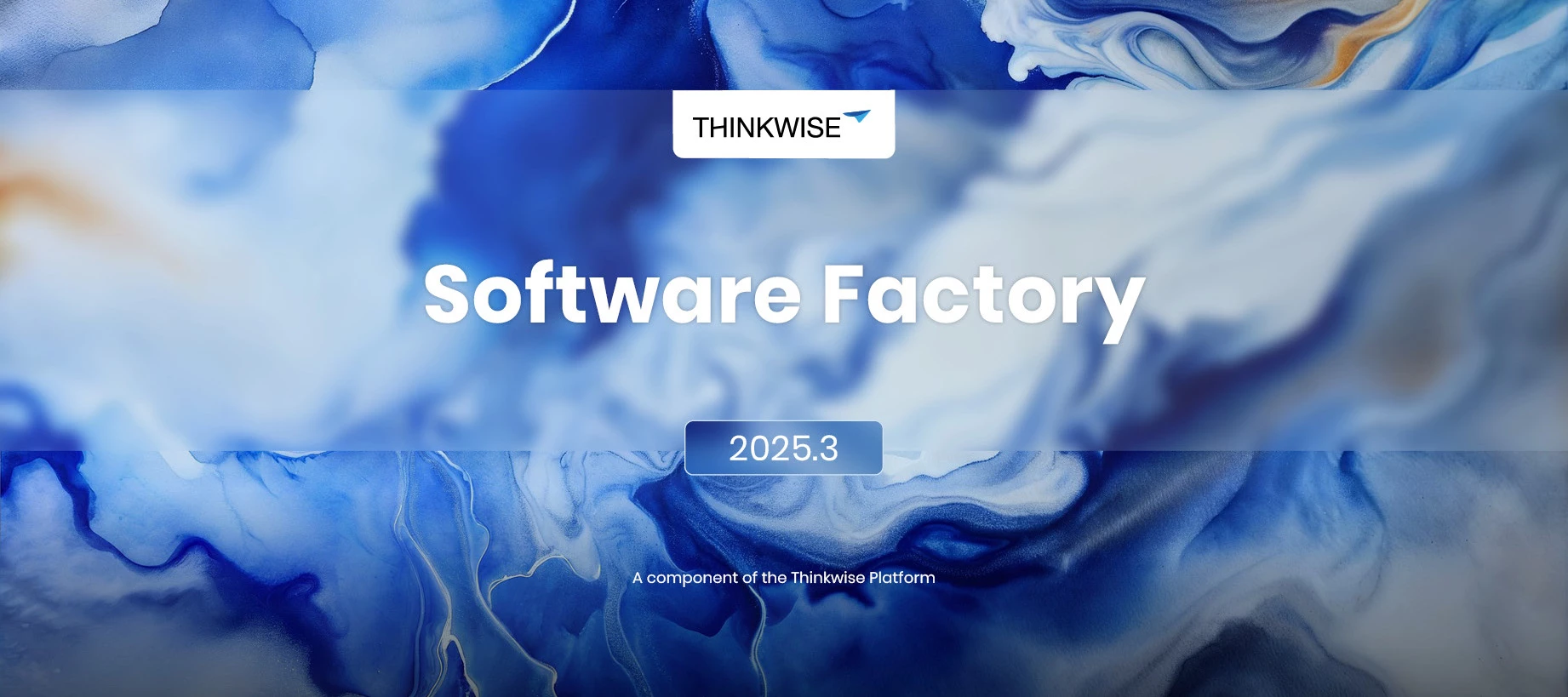 Thinkwise Platform 2025.3