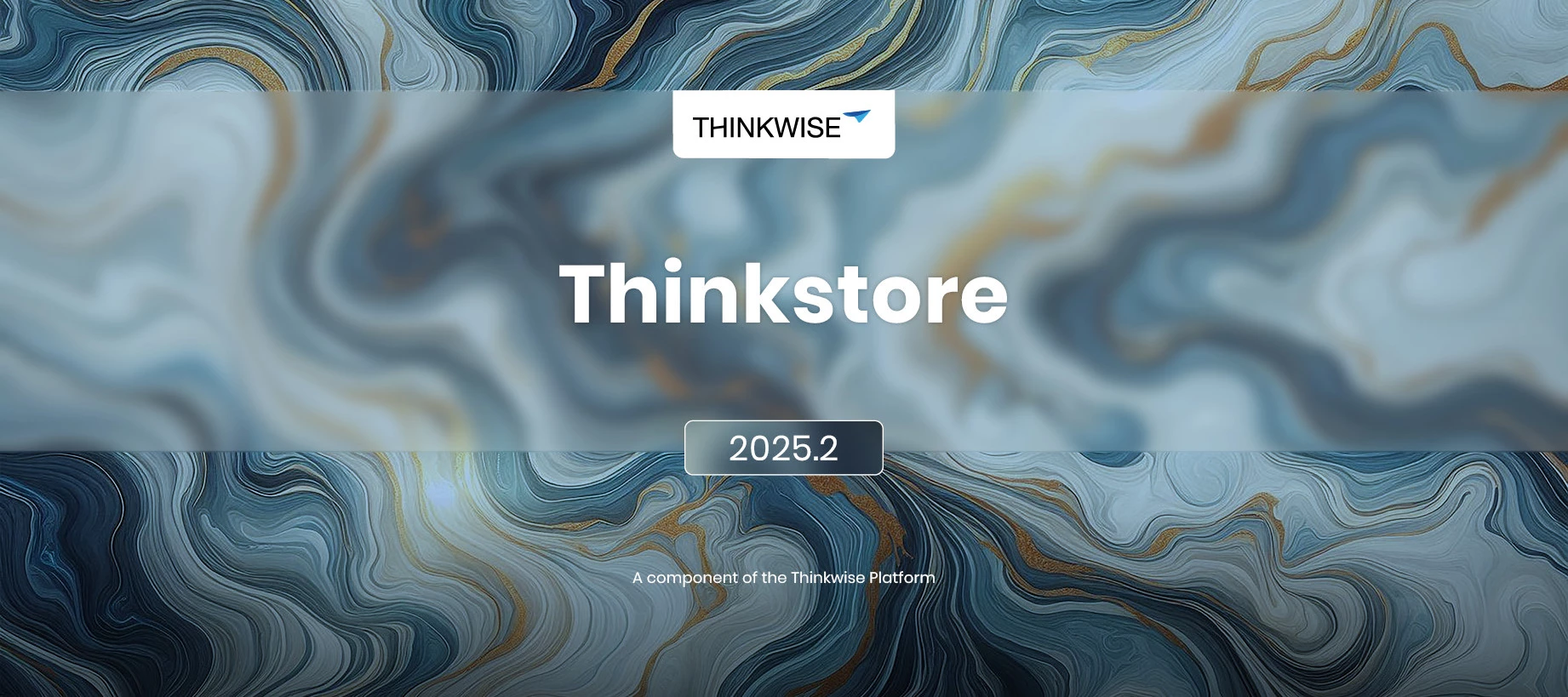 Process queue available in the Thinkstore (2025.2)