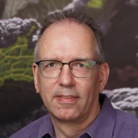 Joop Roseboom