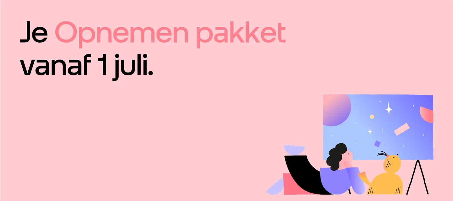 Prijsaanpassing Opnemen + Videoland Basis