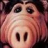 mrALF