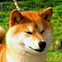 Redshibaman