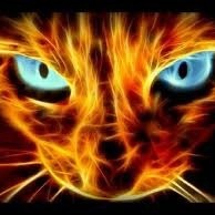 Catmania