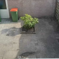 Gebruiker100226