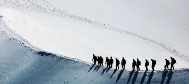 Overcoming Adoption Challenges: A Practical Guide for Project Leaders