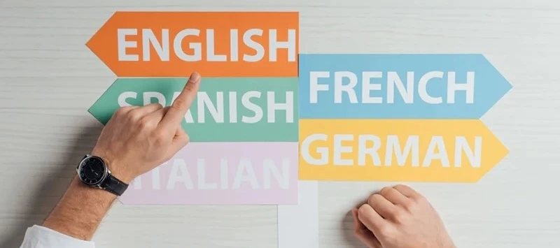 Changing the Language in TrendMiner: Here’s How