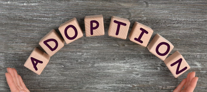 How to create an Adoption Plan for your organization?